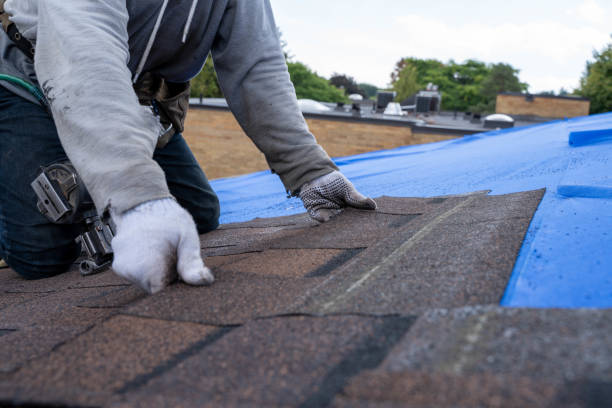Best Roof Waterproofing Services  in Powells Crossroads, TN